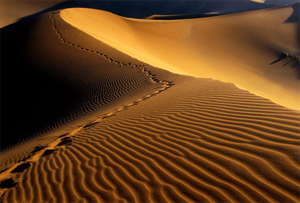 أروع صور صحراء الجزيرة العربية The Arabian Peninsula Desert Images- عالم الصور